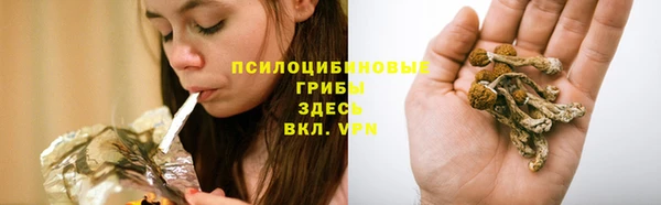 прущие крисы Вязьма
