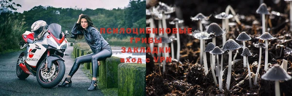 jwh Вяземский