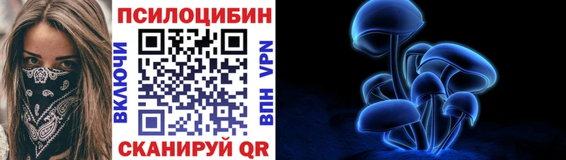 Галлюциногенные грибы Cubensis  Купить закладки  Можга 